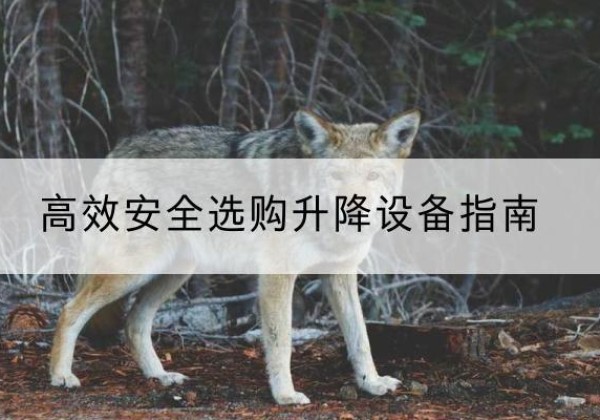 梧州升降货梯厂家推荐-*安全选购升降设备指南