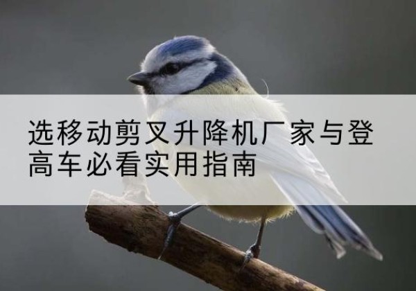 梧州电动升降机厂家-选移动剪叉升降机厂家与登高车必看实用指南