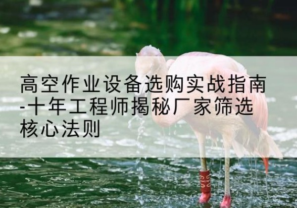 梧州剪叉式升降机厂家-高空作业设备选购实战指南-十年工程师揭秘厂家筛选核心法则